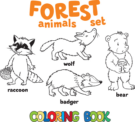Forest animals coloring book