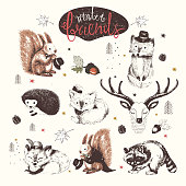 Forest animals hand drawn set. vector hand drawn sketches. squirrel; raccoon; hedgehog; foxes; deer;