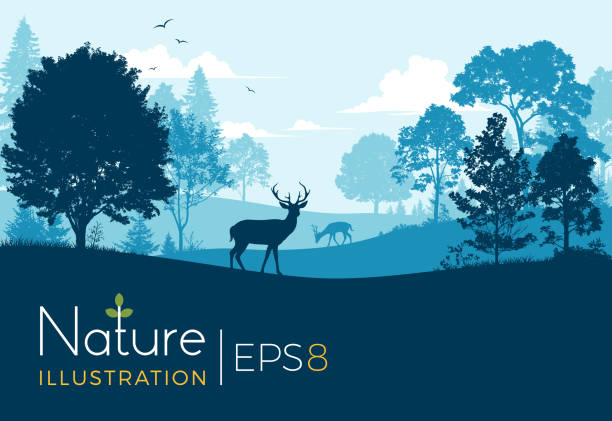Forest Background With Deer Nature Background with forest, hills and deer. highland park stock illustrations