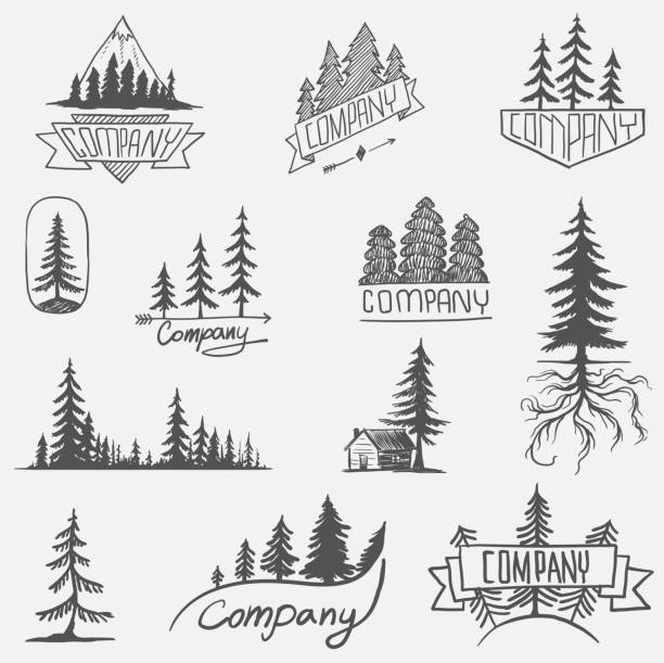Forest badge tree vector set isolated Hand drawn forest logo badge set. Retro collection of outdoor wildlife adventure company adventure silhouettes stock illustrations