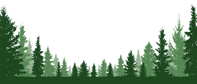 Download Forest Evergreen Coniferous Trees Silhouette Vector ...