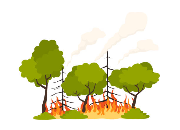 Forest fire flat vector illustration isolated on white background. Burning forest trees in fire flames. vector art illustration