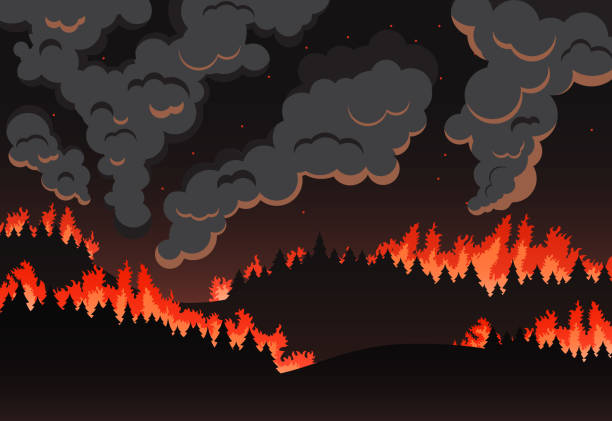 illustrations, cliparts, dessins animés et icônes de panorama du paysage naturel, silhouette de nuit les incendies de forêt - incendie