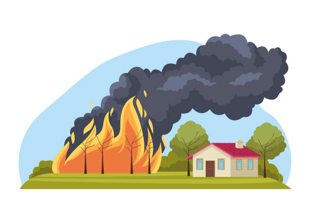 illustrations, cliparts, dessins animés et icônes de scène d’incendie de forêt - incendie