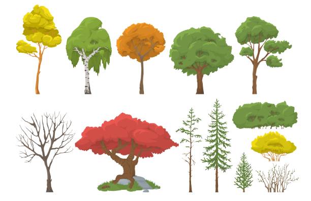 Forest, garden trees, bushes, shrubs set, flat vector isolated illustration. vector art illustration