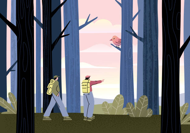 illustrations, cliparts, dessins animés et icônes de randonnée en forêt - marcher foret