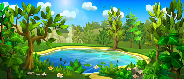 Forest lake surrounded by deciduous trees and bushes. Forest lake surrounded by deciduous trees and bushes. Summer landscape with green hills and a small pond in the center. river clipart stock illustrations