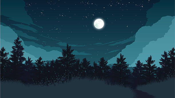 ilustraciones, imágenes clip art, dibujos animados e iconos de stock de paisaje de bosque de ilustración - noche