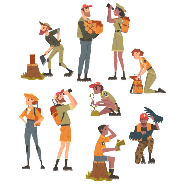 워킹 세트의 숲 레인저스, 유니폼 만화 스타일 벡터 일러스트레이션의 국립 공원 서비스 직원 캐릭터 - rangers stock illustrations