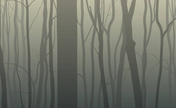 ilustrações de stock, clip art, desenhos animados e ícones de forest silhouette background - animais caçando