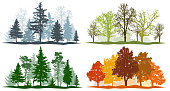 Forest trees winter spring summer autumn. 4 seasons vector illustration
