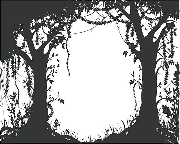 forest thicket, deep fairy forest silhouette, jungle shadows fairy stock illustrations
