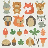 Vector forest set with cute hare, bear, fox, deer, owl, squirrel, hedgehog, wolf, bird, mushrooms, nuts and leaves in cartoon style
