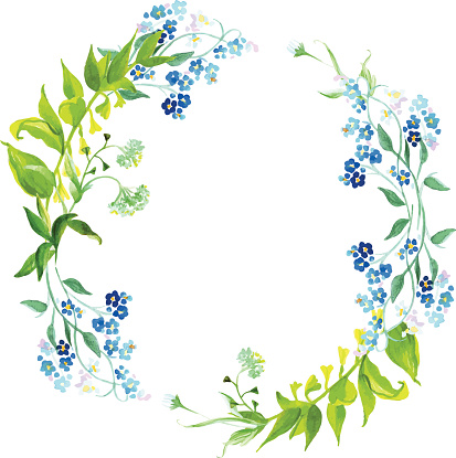 Forget-me-not and herb watercolor round vector frame
