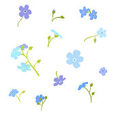 istock Forget-me-not flowers vector set illustration isolated on white background.Set of flowers for design.Flowers postcard. 1325354511