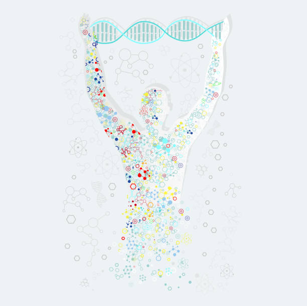 Form Man with Human DNA. Concept Scientific Form man with human DNA. Concept scientific. Research molecule, chemistry medical, biology technology, atom and gene medicine, biotechnology evolution, molecular structure, genetic spiral illustration dna silhouettes stock illustrations