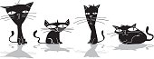Four black cats,