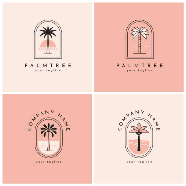 ilustrações, clipart, desenhos animados e ícones de quatro logotipo de palmeira, emblema definir um - coconut