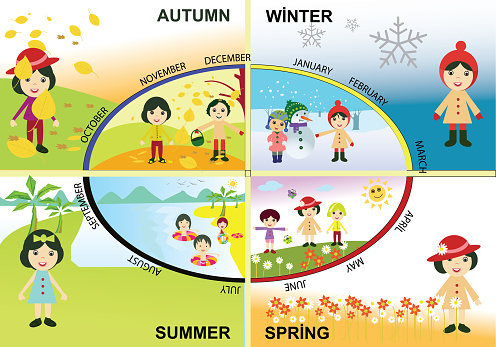 four season. Seasonal Chart of the Year. seasons in set. autumn. winter. summer. spring. 12 months. 4 seasons. Illustration of seasons for nursery. months for elementary school.
