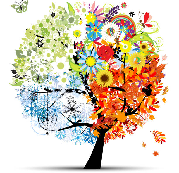 empat musim - musim semi, musim panas, musim gugur, musim dingin. pohon seni indah - musim ilustrasi stok