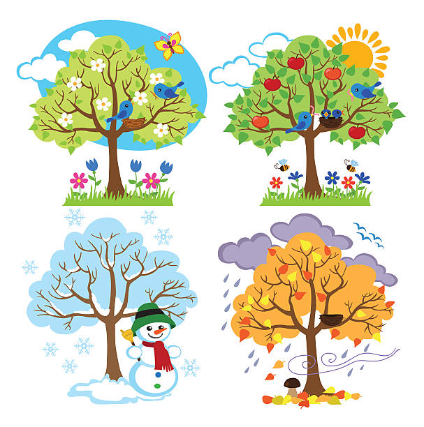 four seasons деревьев клипарт с весна, лето, осень, зима деревьев - drawing...
