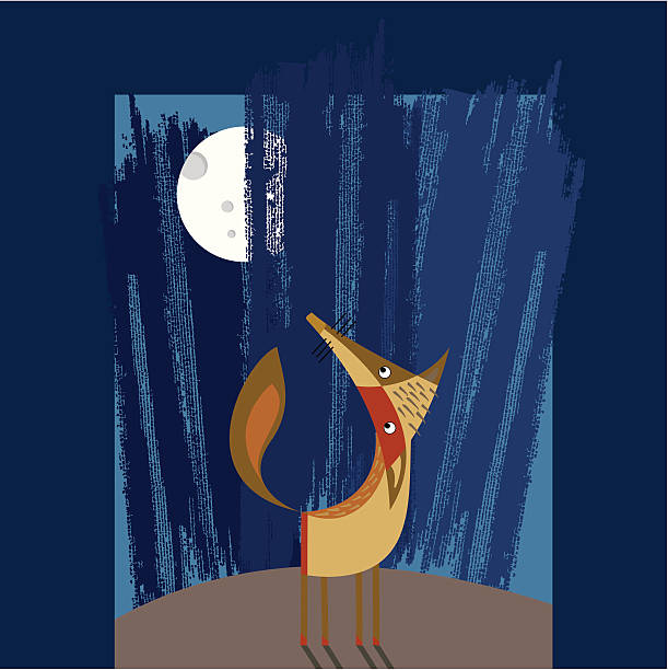 ilustraciones, imágenes clip art, dibujos animados e iconos de stock de fox y luna - tintanegra00