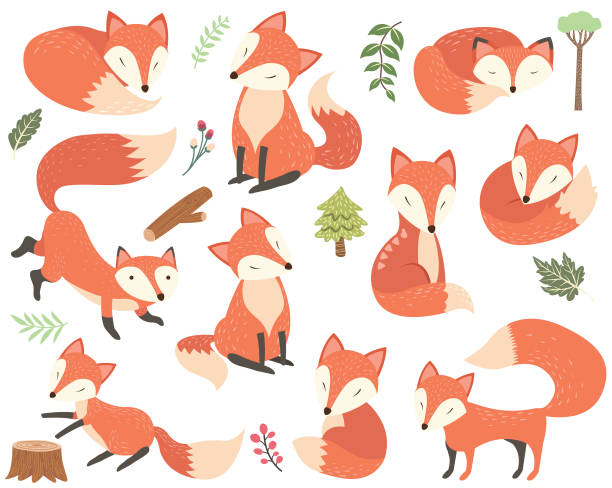Fox Elements A vector illustration of Fox Design Elements. Perfect for Woodland Animal theme, holiday, card and many more. fox stock illustrations