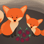 Fox Feeds Its Baby Figsfig