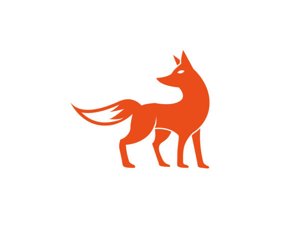 fox standing and looking back for logo fox standing and looking back for logo fox stock illustrations
