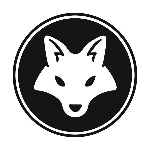 Fox Fox fox stock illustrations