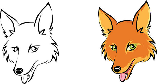 Fox vector art illustration