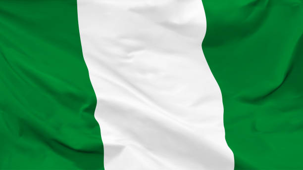 배경, 벡터의 형태로 나이지리아 공화국의 흔들리는 국기의 조각 - nigeria stock illustrations