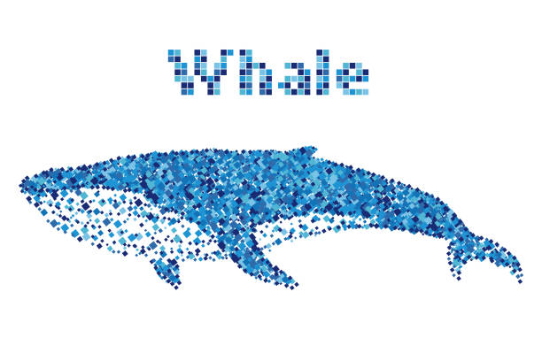 bildbanksillustrationer, clip art samt tecknat material och ikoner med fragments  whale isolated on white - blue whale