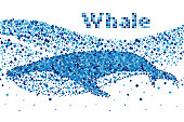 istock Fragments  whale 1356569630