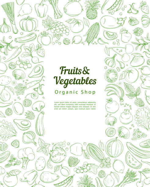 Frame border background pattern green fresh tropical fruits and vegetables Frame border background pattern of green organic farm fresh tropical fruits and vegetables. Vector illustration. Sketch doodle outline line flat style design. White backdrop top view grocery products supermarket borders stock illustrations