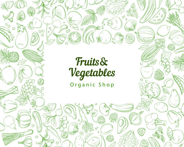 Frame border background pattern green fresh tropical fruits and vegetables Frame border background pattern of green organic farm fresh tropical fruits and vegetables. Vector illustration. Sketch doodle outline line flat style design. White backdrop top view grocery products fruit stock illustrations