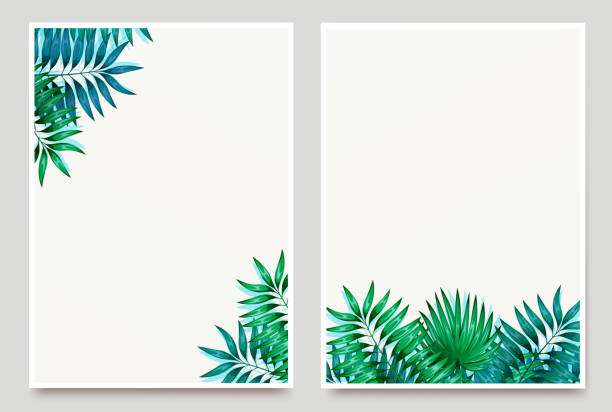 Frame of colorful tropical leaves. Concept of the jungle for the design of invitations, greeting cards and wallpapers. Vector illustration Frame of colorful tropical leaves. Concept of the jungle for the design of invitations, greeting cards and wallpapers. beach borders stock illustrations
