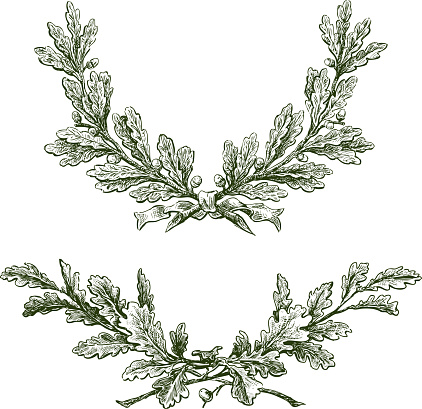 Freehand drawings of triumphal oak branches with acorns and ribbon
