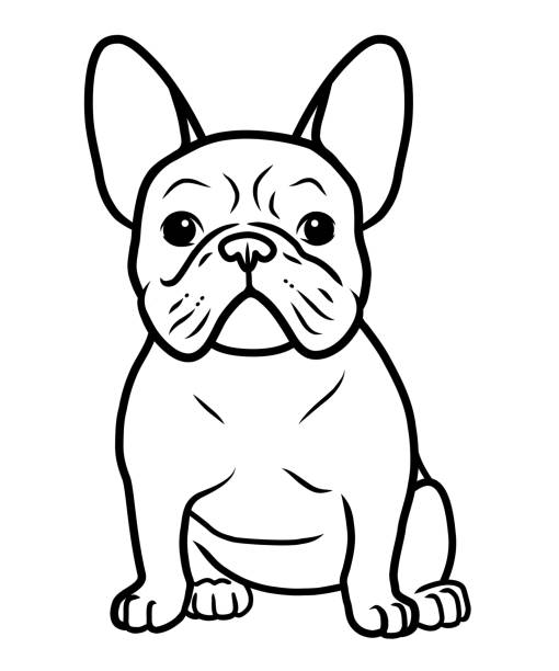 stockillustraties, clipart, cartoons en iconen met franse bulldog zwart en wit hand getekend cartoon portret vector illustratie. funny french bulldog puppy zitten en kijken uit. honden, huisdieren thema ontwerpelement, icoon, logo, kleurboek pagina - bulldog
