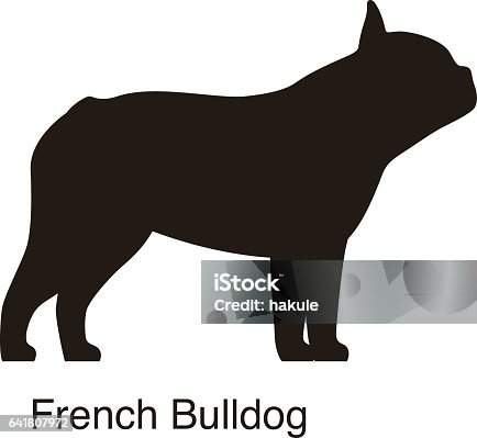 Adorable French Bulldog Black And White Clipart