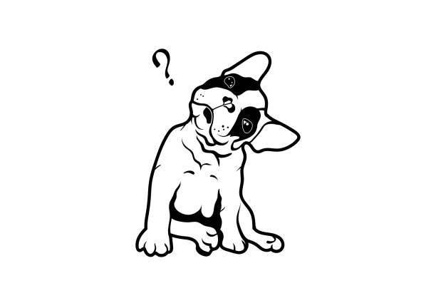 French Bulldog Head Rotation in Black & White. vector art illustration