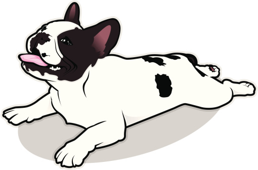 French Bulldog Illustration v1.0