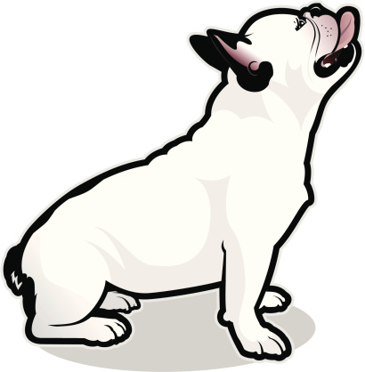 French Bulldog Sitting Illustration