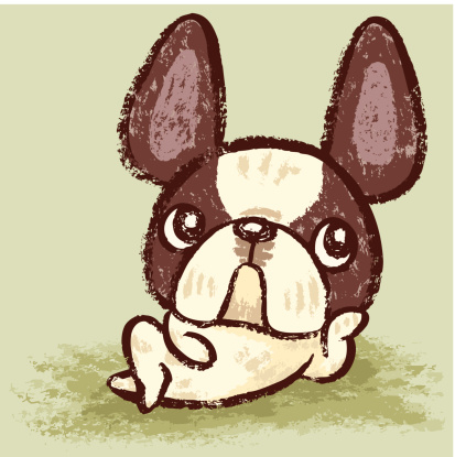 French Bulldog that is relaxing