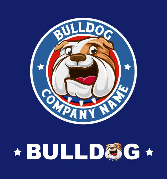 stockillustraties, clipart, cartoons en iconen met franse bulldog - bulldog