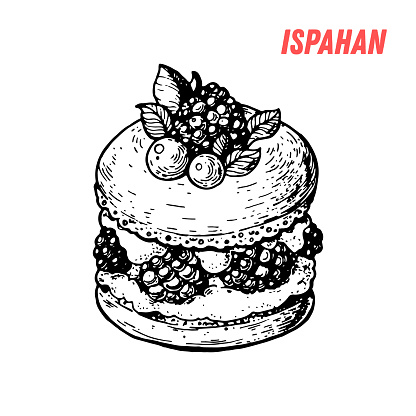 French dessert ispahan sketch. French pastries . Food menu design template. Hand drawn sketch vector illustration.