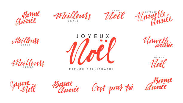 French lettering Joyeux noel, Meilleurs Voeux, Bonne annee. Merry Christmas and Happy New Year, red text calligraphy French lettering Joyeux noel, Meilleurs Voeux, Bonne annee. Merry Christmas and Happy New Year, red text calligraphy french language stock illustrations