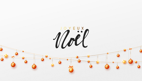 French text Joyeux Noel. Merry Christmas and Happy New Year.