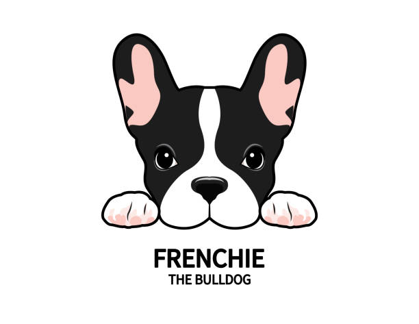 Frenchie The Bulldog Logo Symbol. vector art illustration