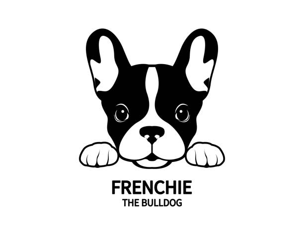 Frenchie The Bulldog Symbol. vector art illustration